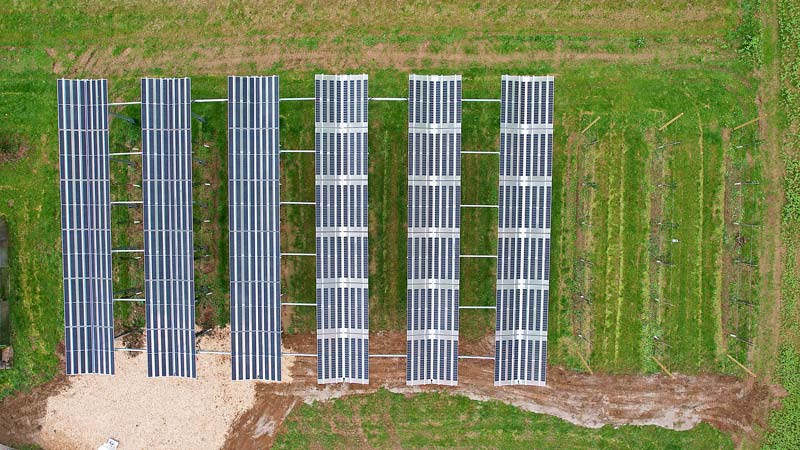 Drohnenaufnahme von Daniel F. Eisel, LandSchafftEnergie: Sicht von oben auf die AgriPV-Anlage am OIZ, gut zu sehen sind die jeweils 3 Reihen mit unterschiedlicher Lichtdurchlässigkeit und zur Freilandkontrolle.